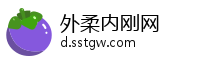外柔内刚网